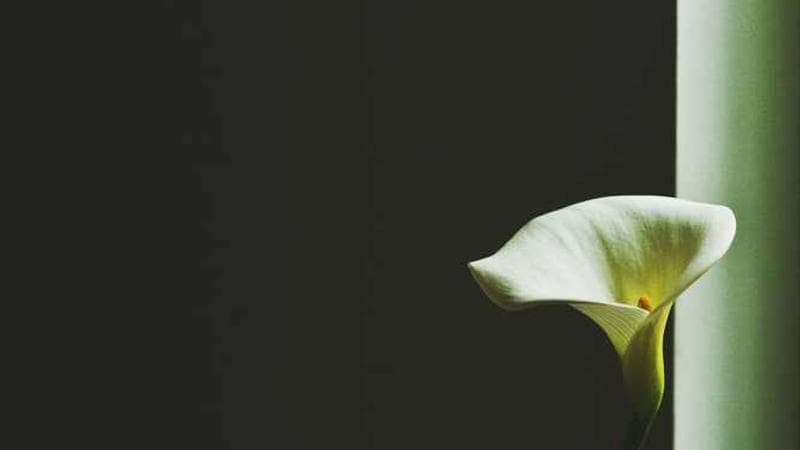 Backend Kotlin (Ktor)